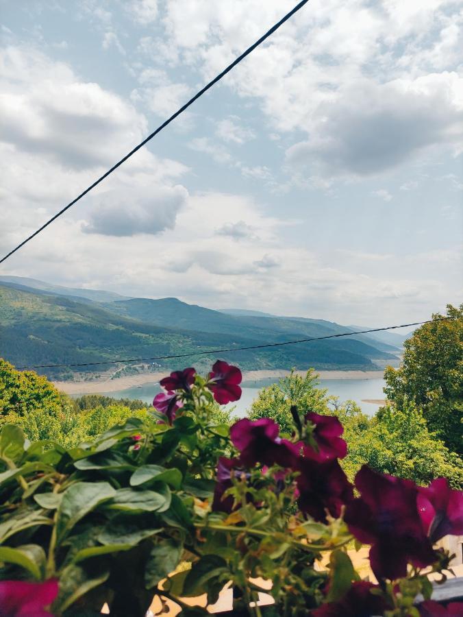 Vila Zapis - Zavojsko Jezero Pirot Exteriör bild
