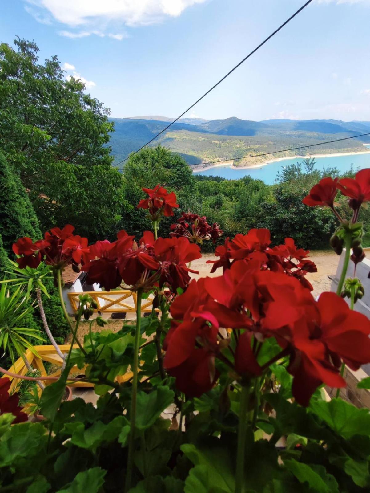 Vila Zapis - Zavojsko Jezero Pirot Exteriör bild